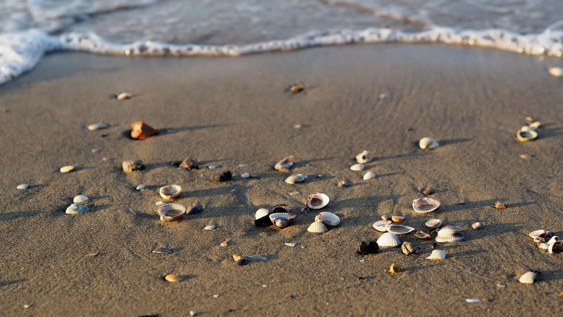 Relaxing Beachside Apartment - Beahost Bibione